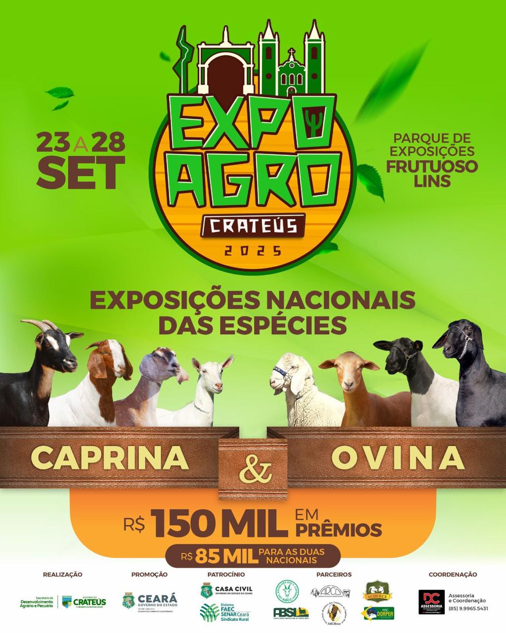 Arco Ovinos