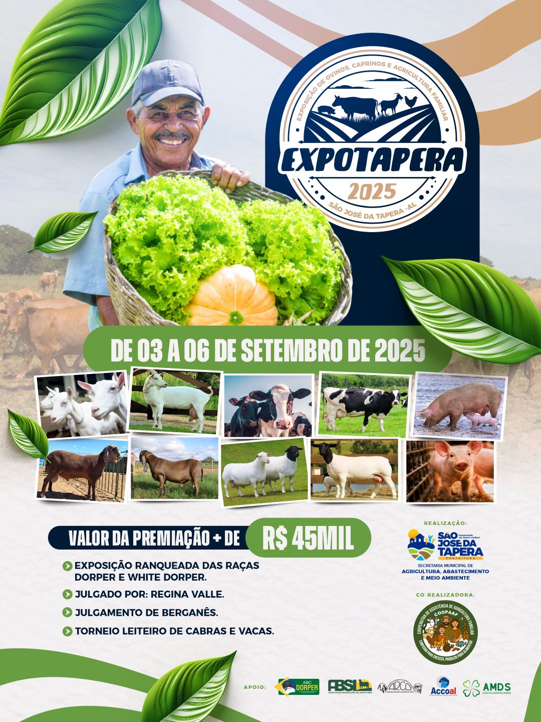 Arco Ovinos