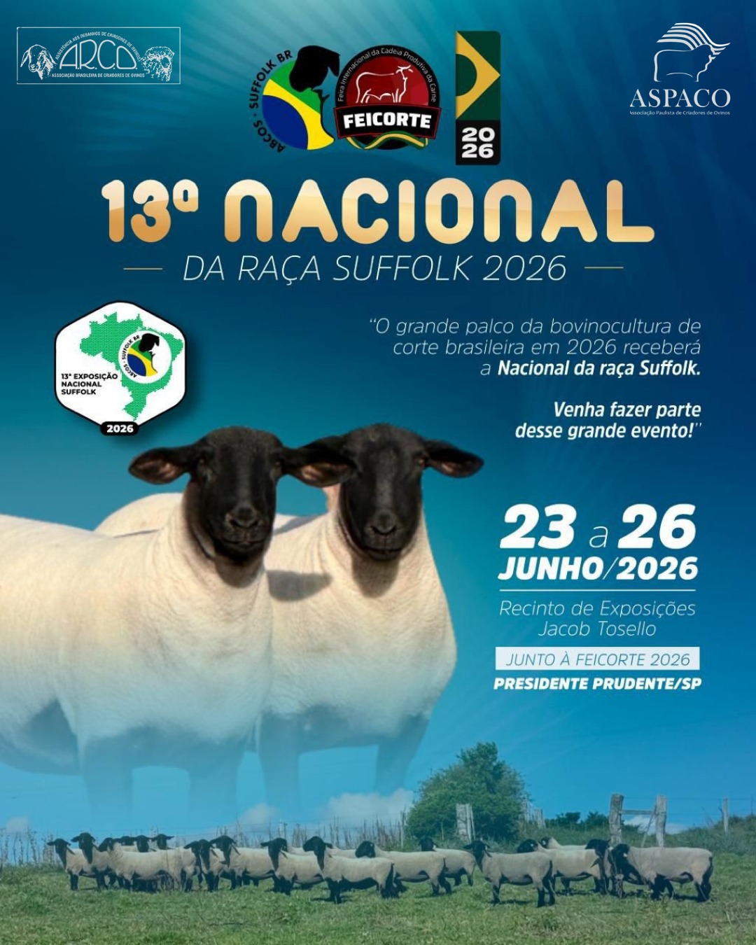 Arco Ovinos