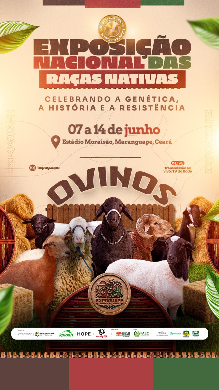 Arco Ovinos