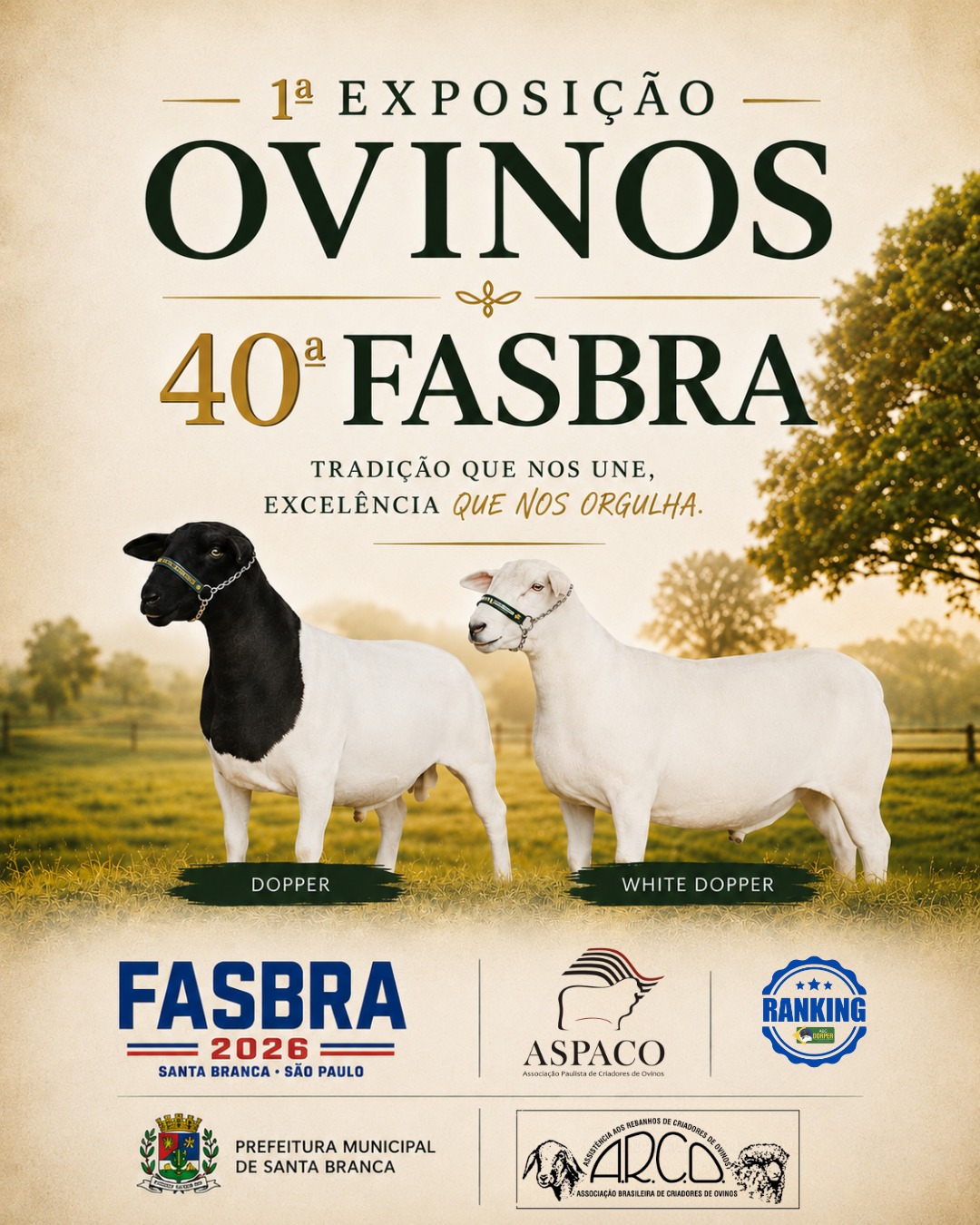 Arco Ovinos