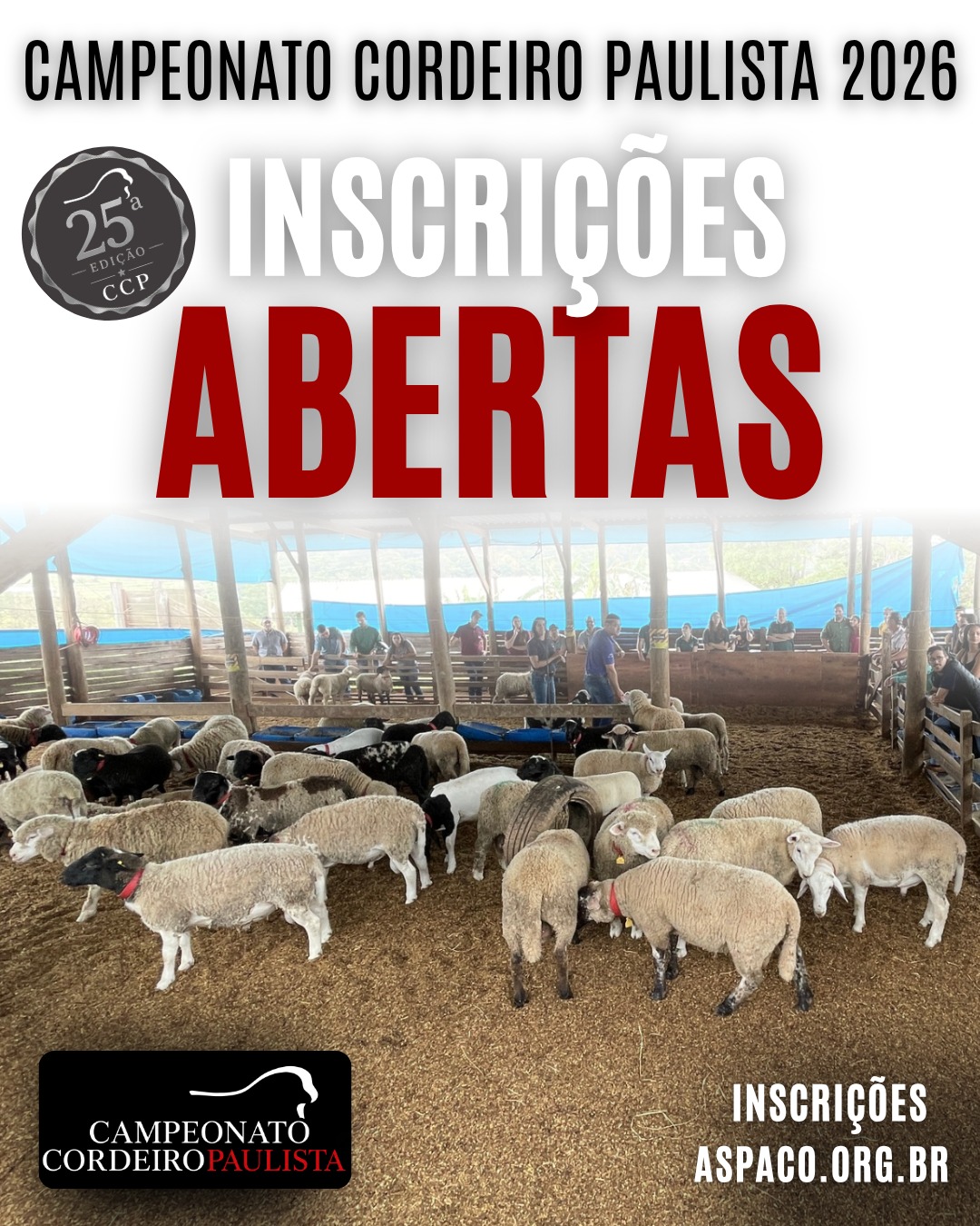 Arco Ovinos